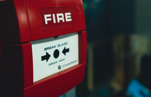 Isawred PDbrz9VEAFA unsplash
